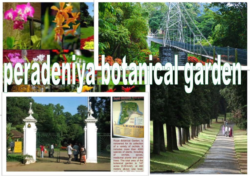 Greenwood Kandy Homestay Kültér fotó