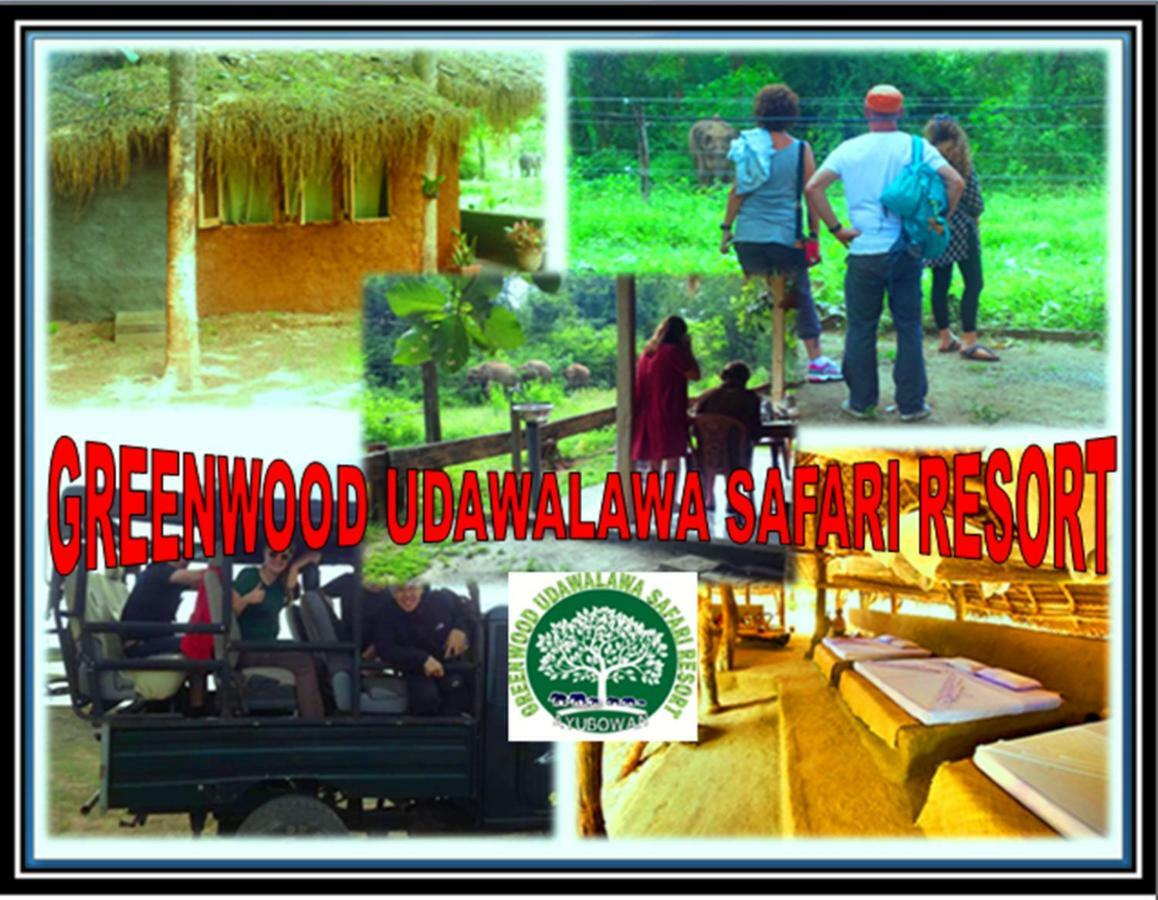 Greenwood Kandy Homestay Kültér fotó